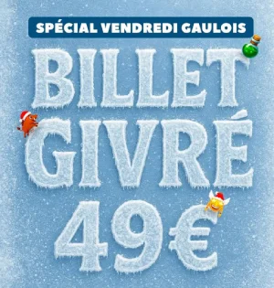 offre Black Friday Parc Asterix 2025 billet givré